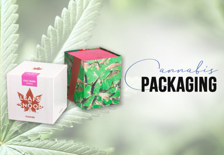 Why Cannabis Boxes are Getting Popular Day by Day? 6 Interesting Facts