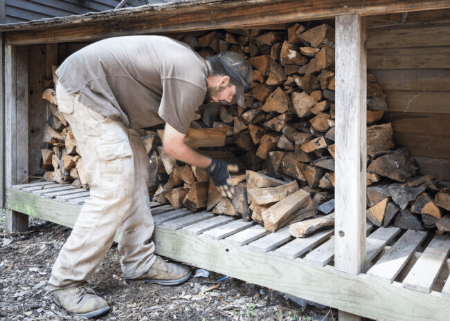 Tips to Choose The Variety Of Firewood For The Perfect Occasion