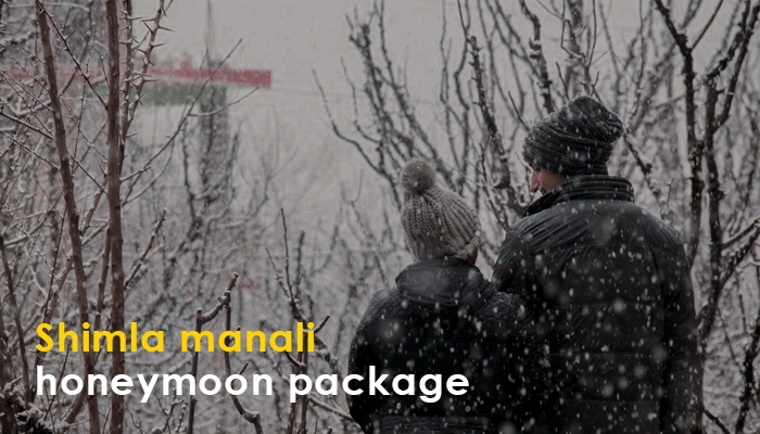 Best Shimla Manali Honeymoon Package with Tour Plan