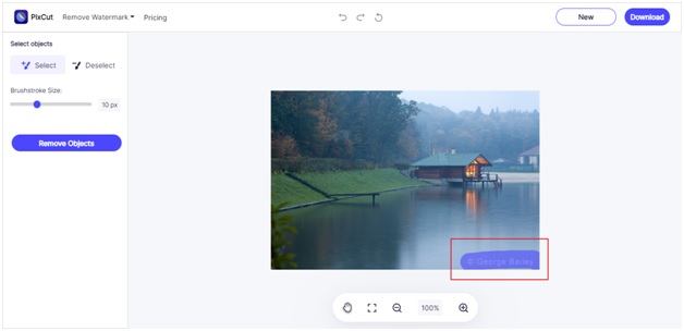 select the watermark