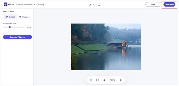 download the watermark free image
