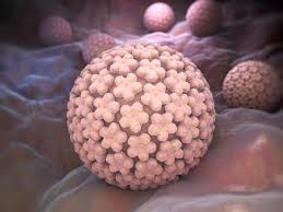 Genital Warts: How are they diagnosed & treated