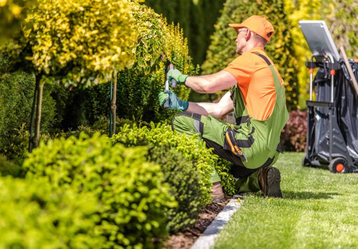 At Heb Contractors! We Deliver Each Aspect of Hard and Soft Landscaping Work;