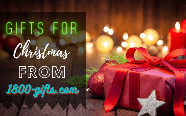 Top 10 Christmas Flowers Products Under $100 in USA