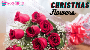 Christmas Flowers
