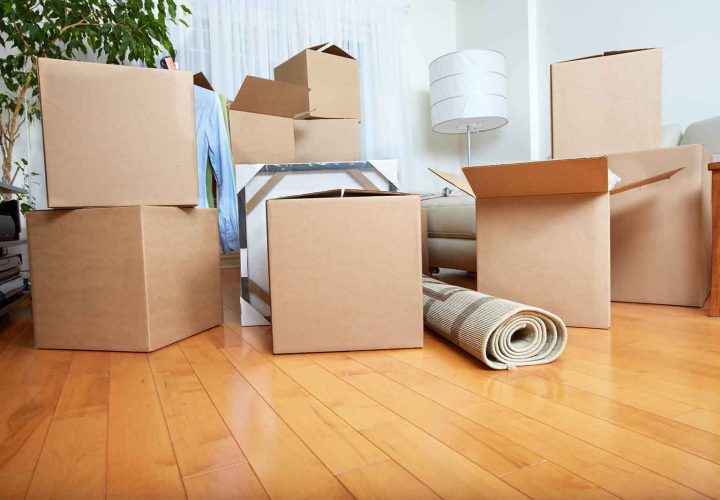 Share Your Burden With Us and Take Home Removal Service of Oytics