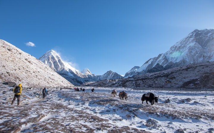 Langtang Region vs Annapurna region trek, which one is better?