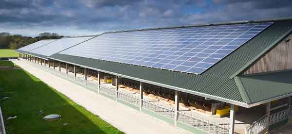 Solar for Dairy Farms Provide Complete Energy Independence