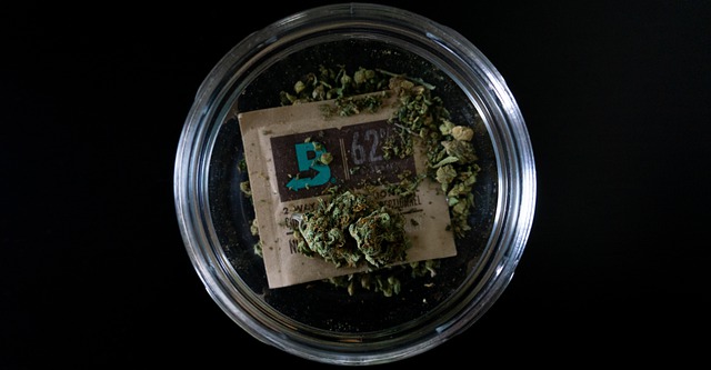 Top 3 Products You Will Find in the Best Weed Dispensary in Santa Ana