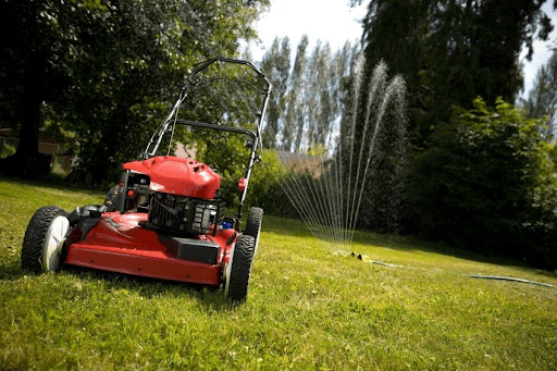Understanding Lawn Maintenance and Landscaping Management Services by Mr. Lawn
