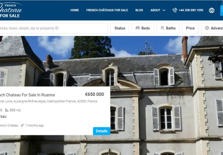 Buying a French Chateau for Sale