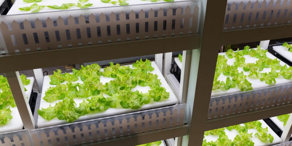 Indoor Gardeners