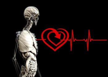 The Difference Between Red and Near-Infrared Light Therapy | What’s the Difference?