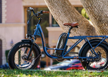 cargo e bike