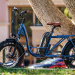 cargo e bike