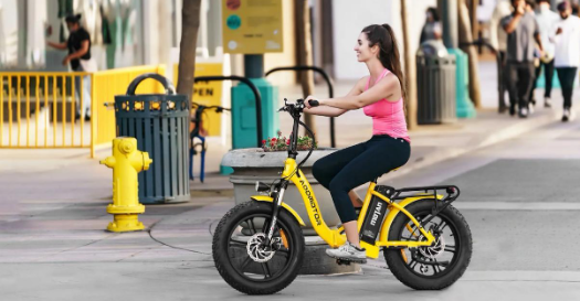 fold able e bike