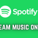 Spotify Web Player