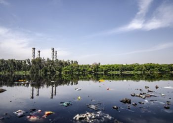 How Trichloroethylene in Your Water Can Harm You – What You Need to Know