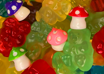 10 Reasons You Should Try Boomer Mushroom Gummies Today