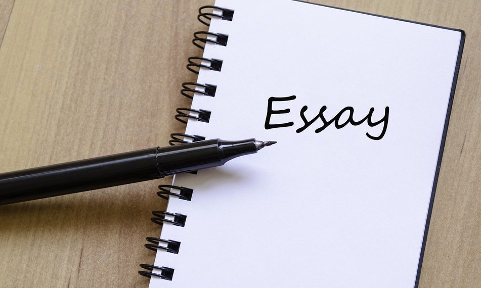 essay writing
