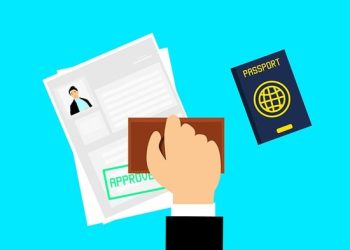 Immigration Status