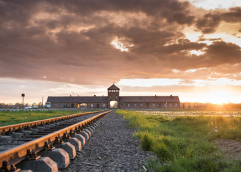 Auschwitz Tours