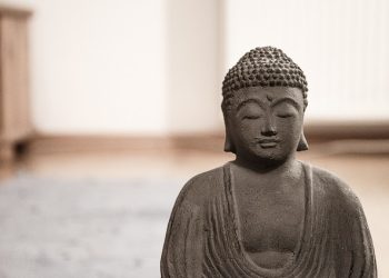 wellhealthorganic.com:ayurveda-dinner