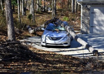 Car Insurance Online