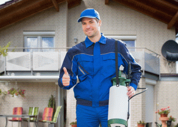 Natural Pest Control: Tips and Tricks