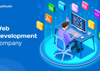 The Pros & Cons of DIY Web Development Vs Hiring a Professional