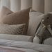 Foam Pillow