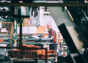 The importance of sanitation in pet food processing companies