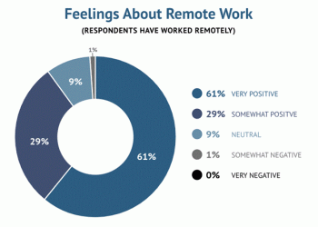 Why Should You Hire Remote Developers?
