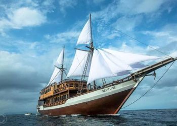 Liveaboard Indonesia: A Comprehensive Adventure in Tropical Paradise