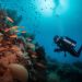 Scuba Diving Bali: Exploring the Underwater Wonders