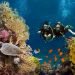Exploring the Depths: A Comprehensive Look at Komodo Dive Center