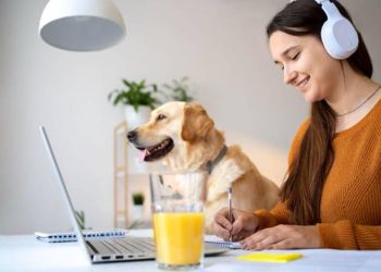 The Future of Veterinary Education: Is Online Learning the Answer?