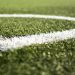 Artificial Grass