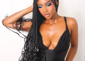 Braided Wigs: The Perfect Solution for a Quick and Stunning Hairstyle