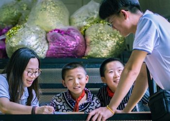 What Is The Right Time To Find A New Tutor?