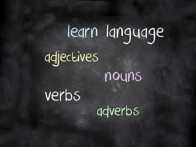 Language