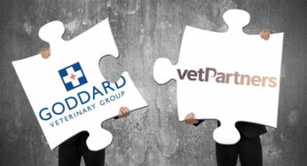 goddard veterinary group 