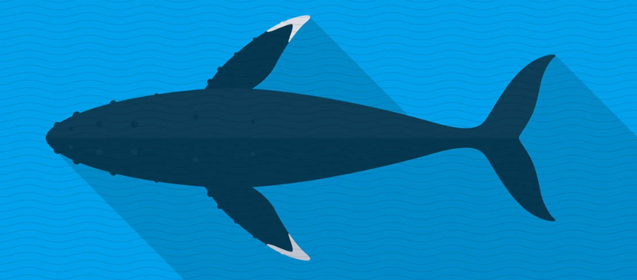 blue whale challenge