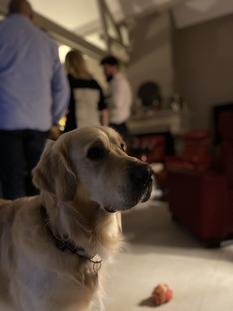 keep pets in optimal health