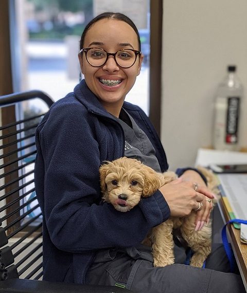 Goddard Veterinary Group Chalfont st peter Lower Road Chalfont Saint Peter Gerrards Cross