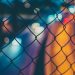 Wire Fencing