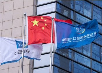 Trade Credits from Chinese Suppliers