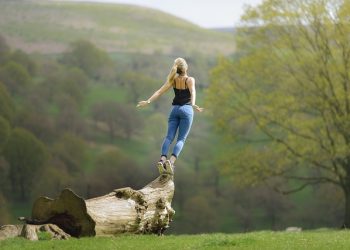 Fusion of Flavors and Wellness