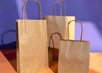 Sustainable Shopping: Why Brown Paper Bags Are Your Green Go-To  Rethinking the Mundane: The Humble Brown Paper Bag