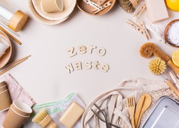 Green Living at Home: Simple Steps for Transforming Your Lifestyle